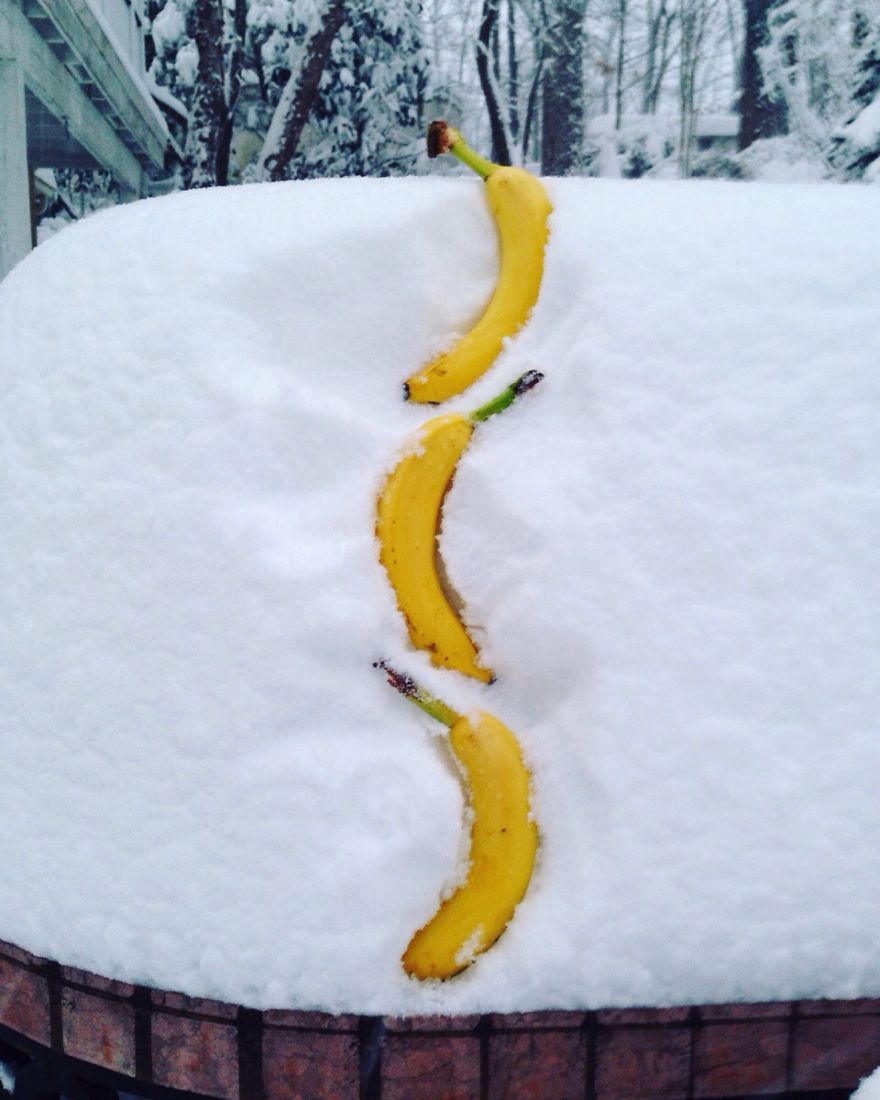 For Those Needing An Update On How Much Snow Dc Is Getting