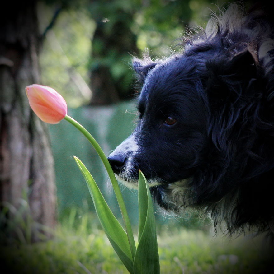 Pannika, The Hungarian Hippie Girl