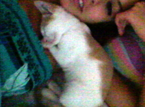 Ето така спи моята Ева Лонгория :d