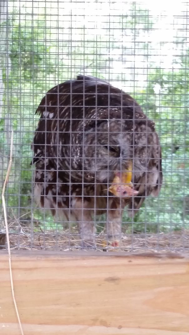 Aww Isn't She Adorable?