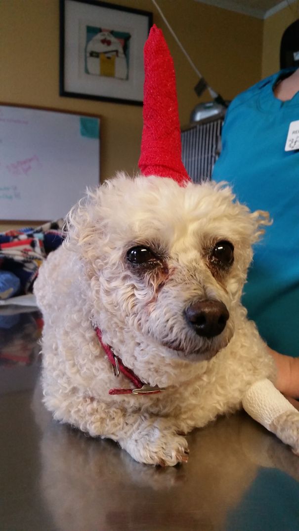 You Get To Make Unicorns!