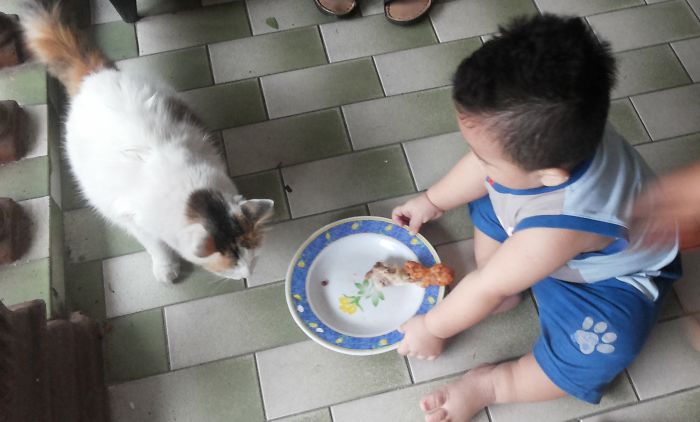 Both My Favourite Loves