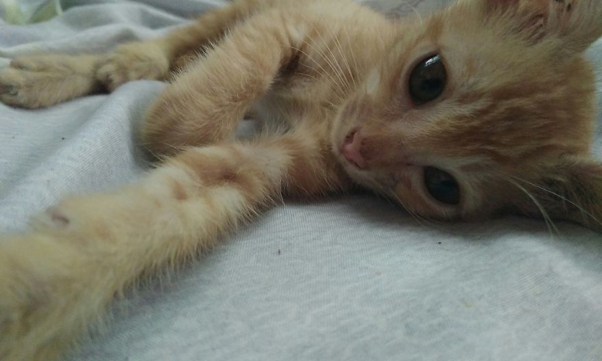 So I Woke Up Like This.