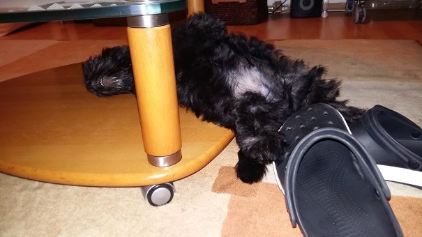 And The Table Isn't Worse...