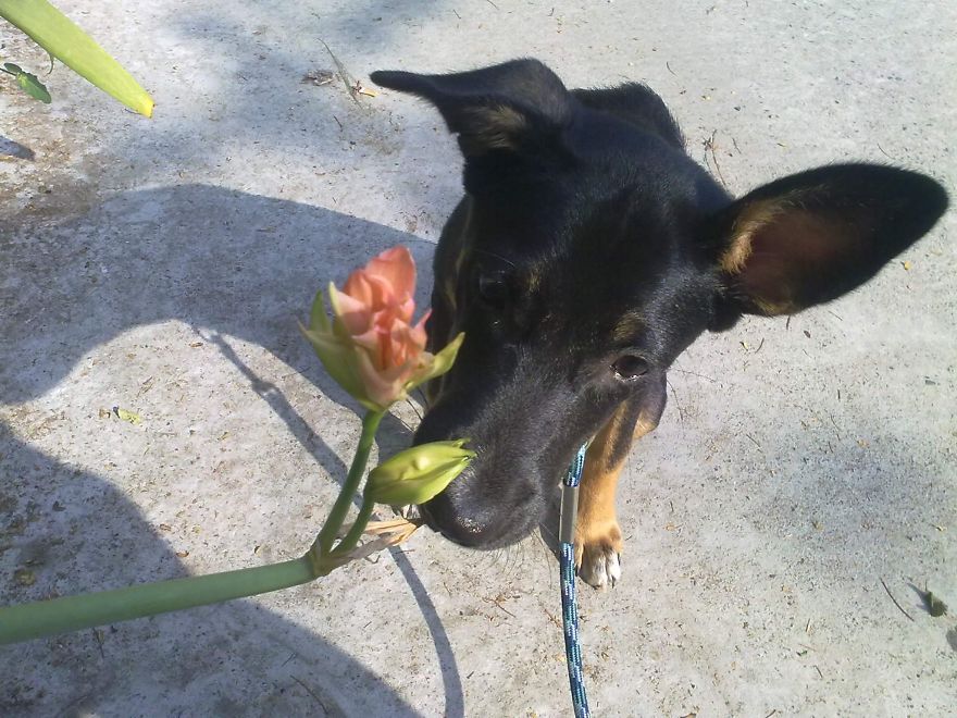 Begum Goli Explores The 'hood