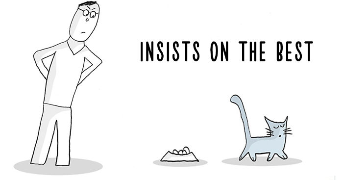 22 Life Lessons From Cats