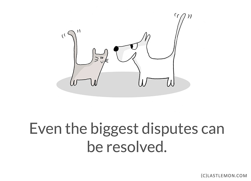 Life Lessons From Cats