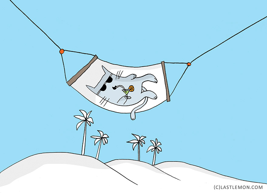 Life Lessons From Cats