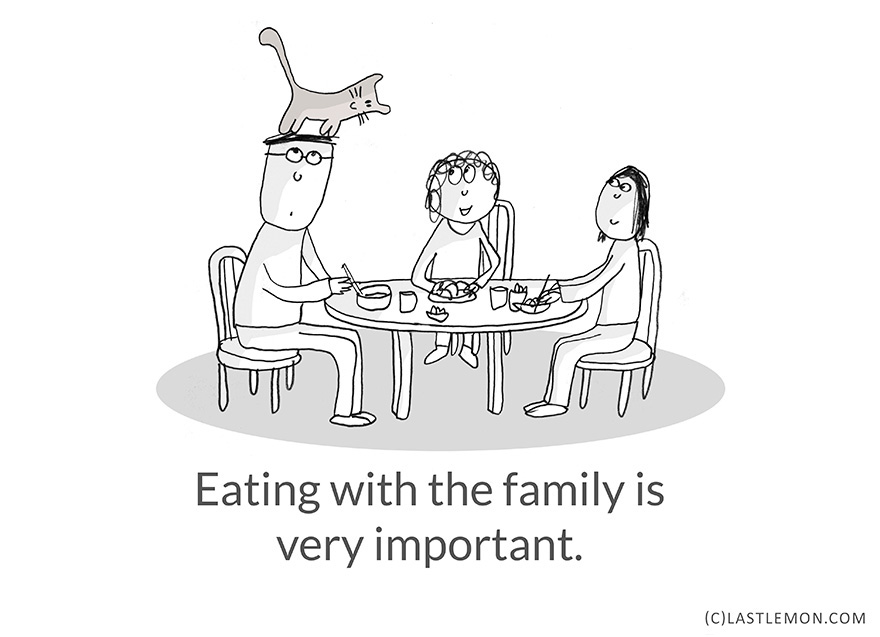 Life Lessons From Cats