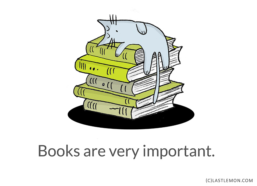 Life Lessons From Cats