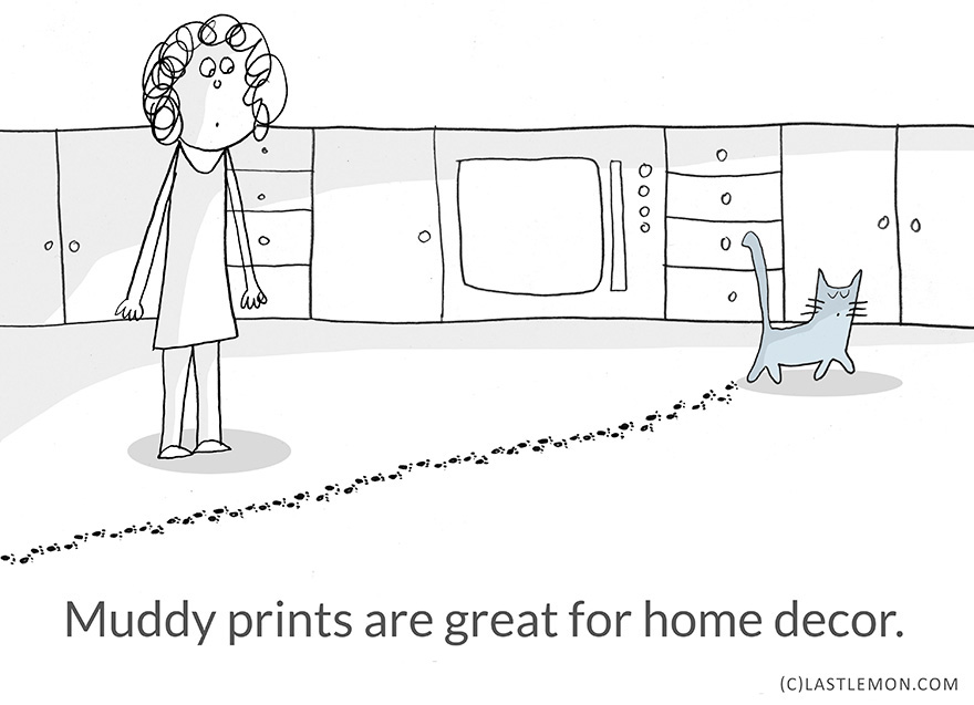 Life Lessons From Cats