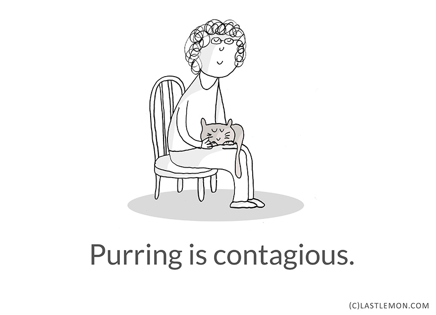 Life Lessons From Cats