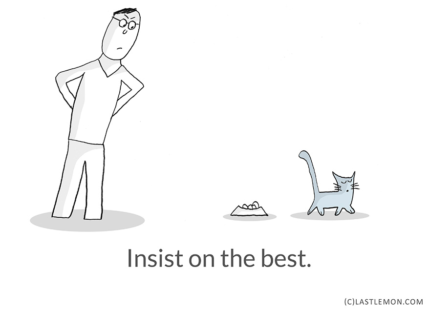 Life Lessons From Cats