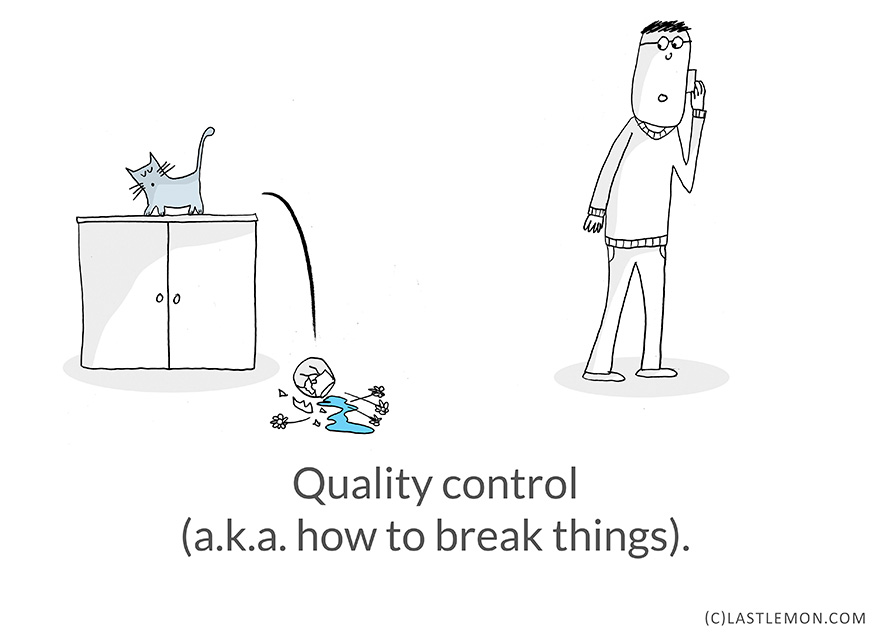 Life Lessons From Cats