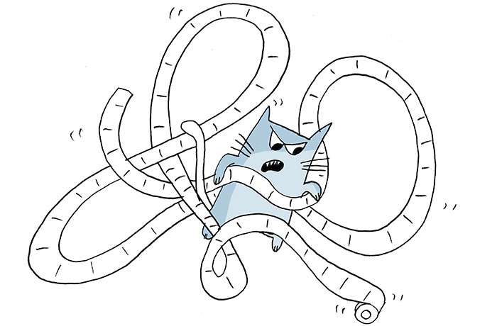 22 Life Lessons From Cats