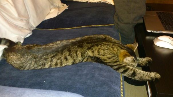 Holding Table Is Tiring...