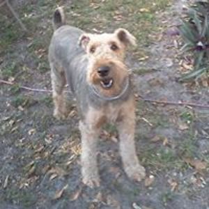 janerussellmiami avatar