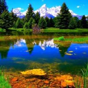 johannaherher avatar