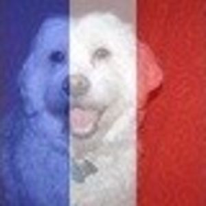 queenoftheuniversenw avatar