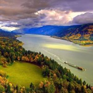 heidichandler8 avatar