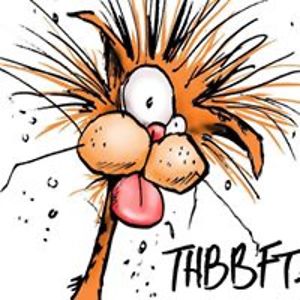 wjshelton1952 avatar