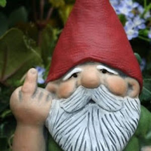 jerryarnoldjdawgsworld avatar