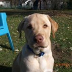 sueherdman555 avatar