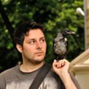 stefan_andrei avatar