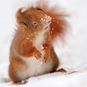 trelikardia07 avatar