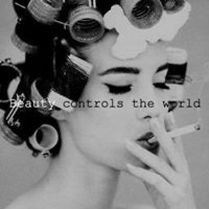 follow_the_meerkat avatar