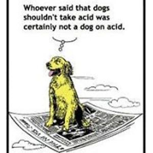 nightmare1zero1 avatar