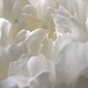 raina_skincare avatar