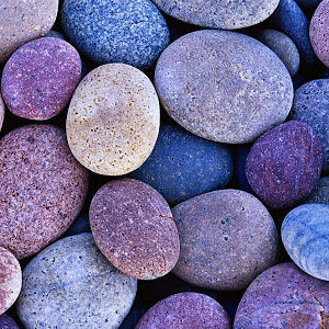 gulxanmcabbarova avatar