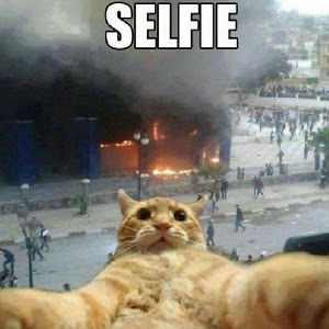 vetlenakopoulos avatar