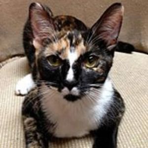 pinaybeautyncali avatar