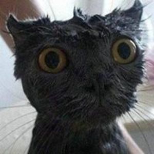 sirius_black7 avatar