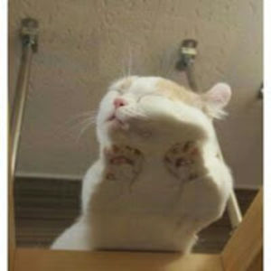 oldrianahapsari avatar