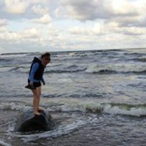 giedrekatinas avatar