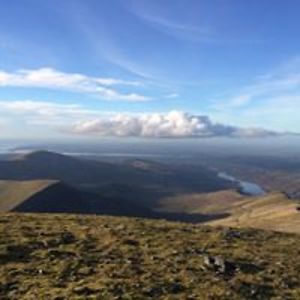 sarah_imrie73 avatar