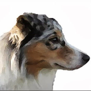 richardneuman avatar