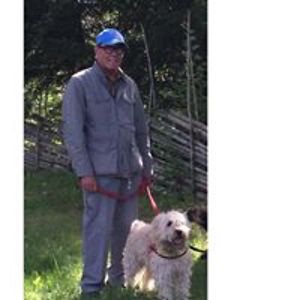 allan_ingster avatar