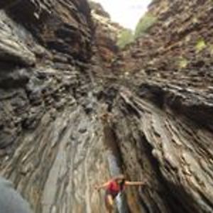 shivaniebabulall avatar