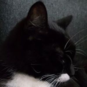 peter_keller_berlin_math avatar