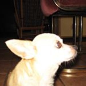 katrina_ladesic avatar