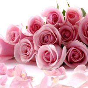 connie_mack32 avatar