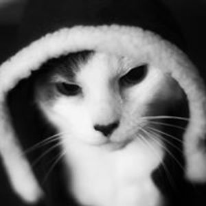 privategaladriel avatar