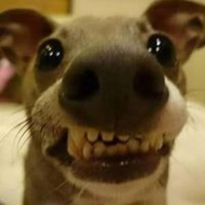 notquiteshy69 avatar