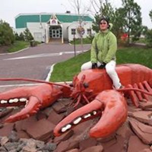 the_flying_policebox avatar