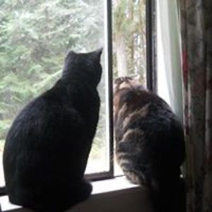 roberta_bowers_bright avatar