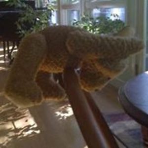 bostic_dee_anne avatar